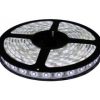 ROLLO DE LED (300 LED) 5 METROS 5050 BLANCO 12V