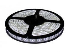 LED T10 COB SILICONADO “CANBUS” BLANCO 12V